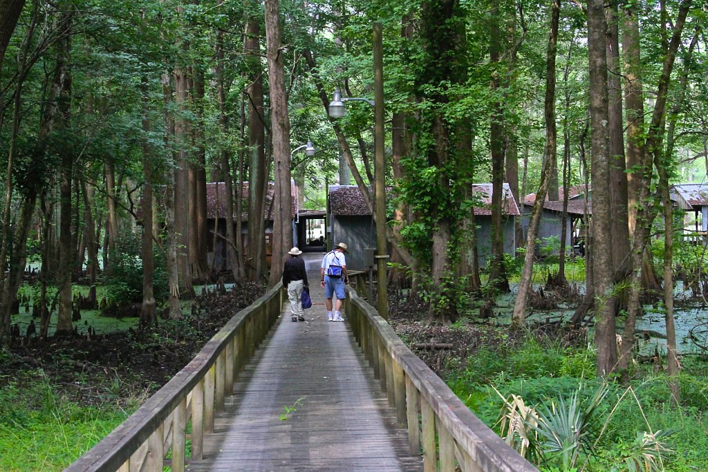 Grassy Lake, AR June 2018 Flickr