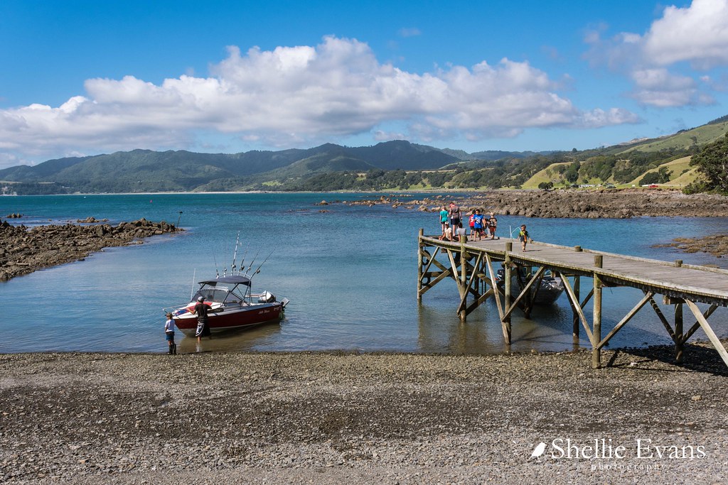 Waihau Bay, Eastern Bay of Plenty Blog Post here A Qiuck … Flickr