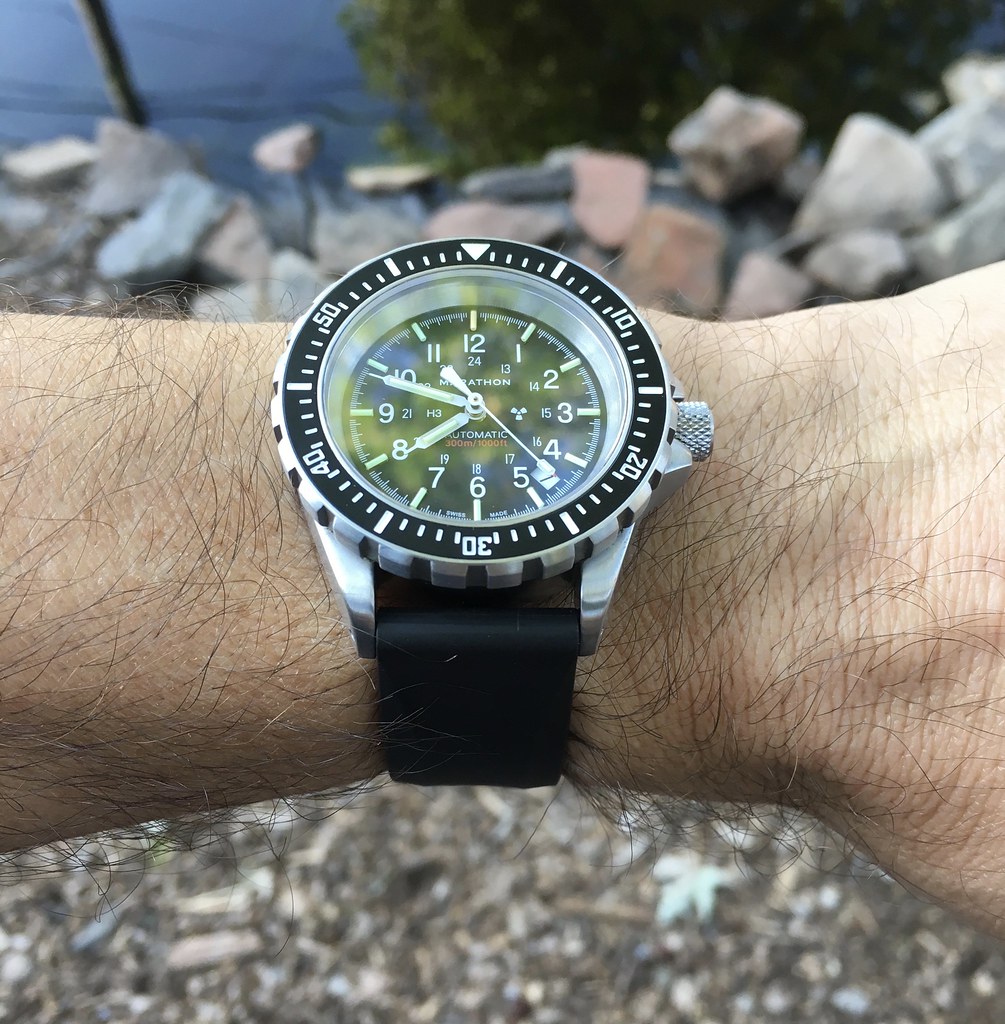 Best automatic dive watch for the money?