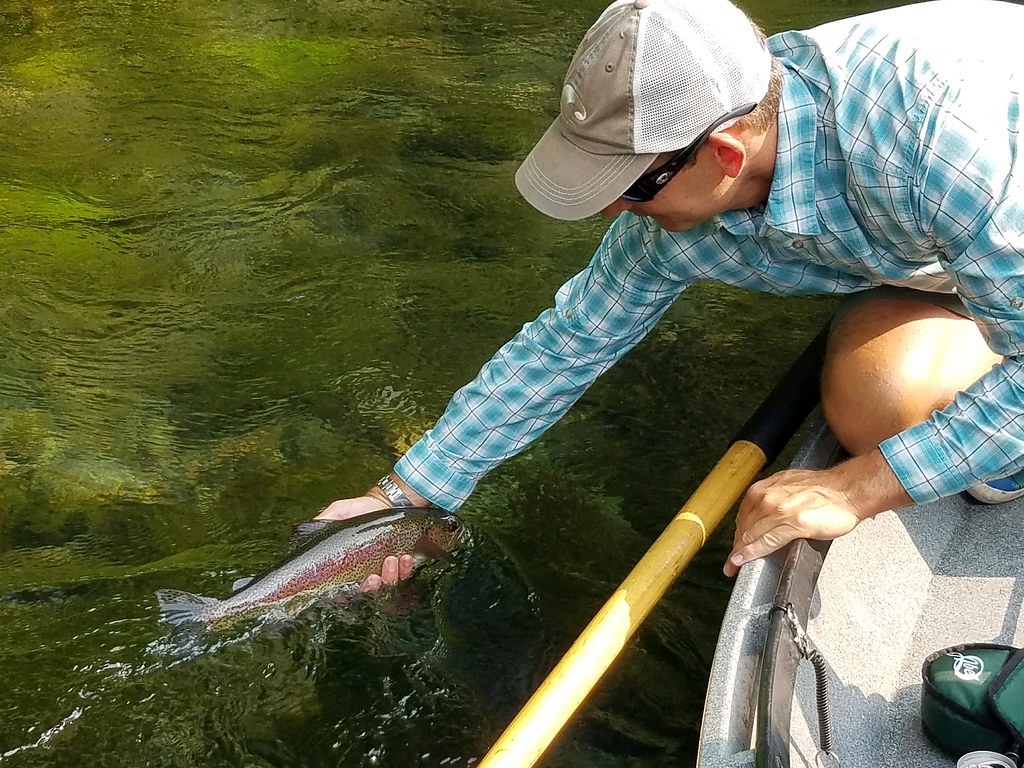 caddis fly guide service Mckenzie river wild trout Flickr