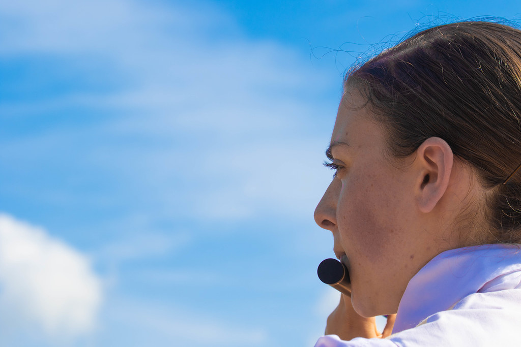 Westbrook Parade10016 U. S. Army Old Guard Fife and Drum Corps Flickr