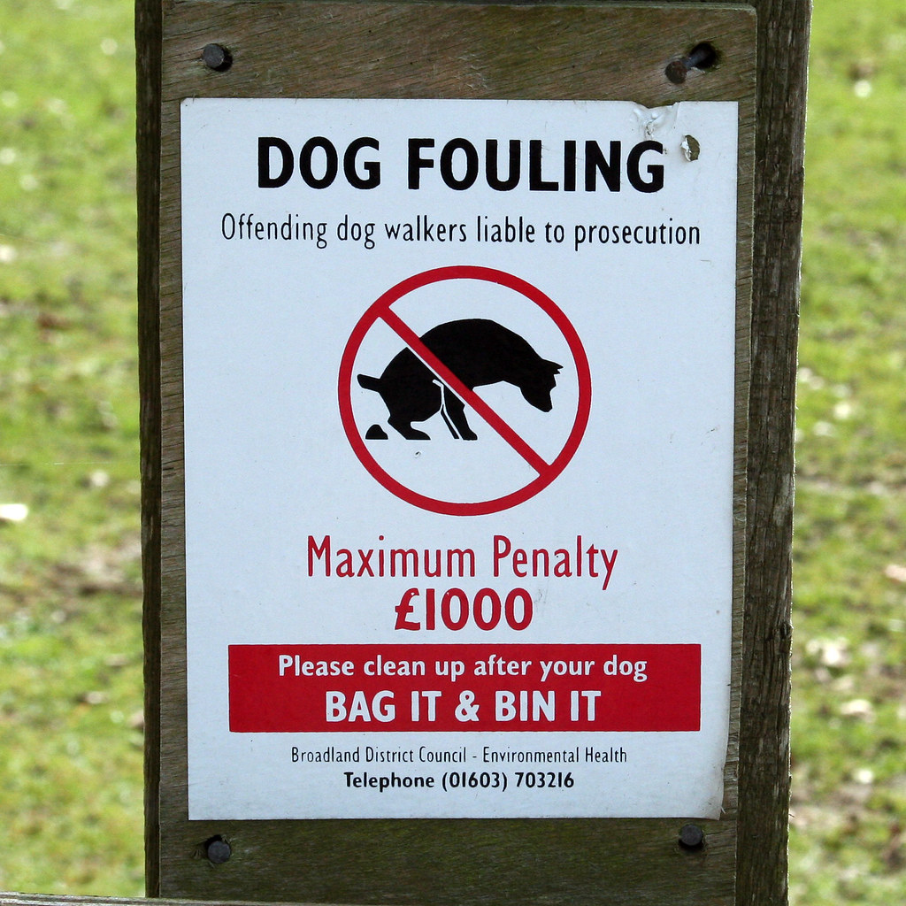 DOG FOULING a photo on Flickriver