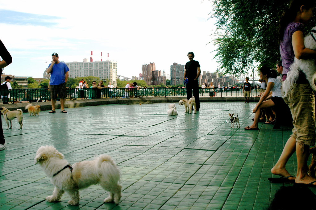small dog run carl schurz park NYC We told a lady in a… Flickr