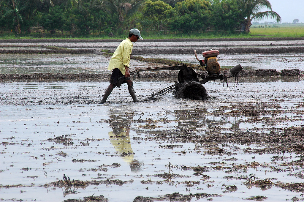 Hand tractor A farmer uses a hand tractor or power tiller … Flickr