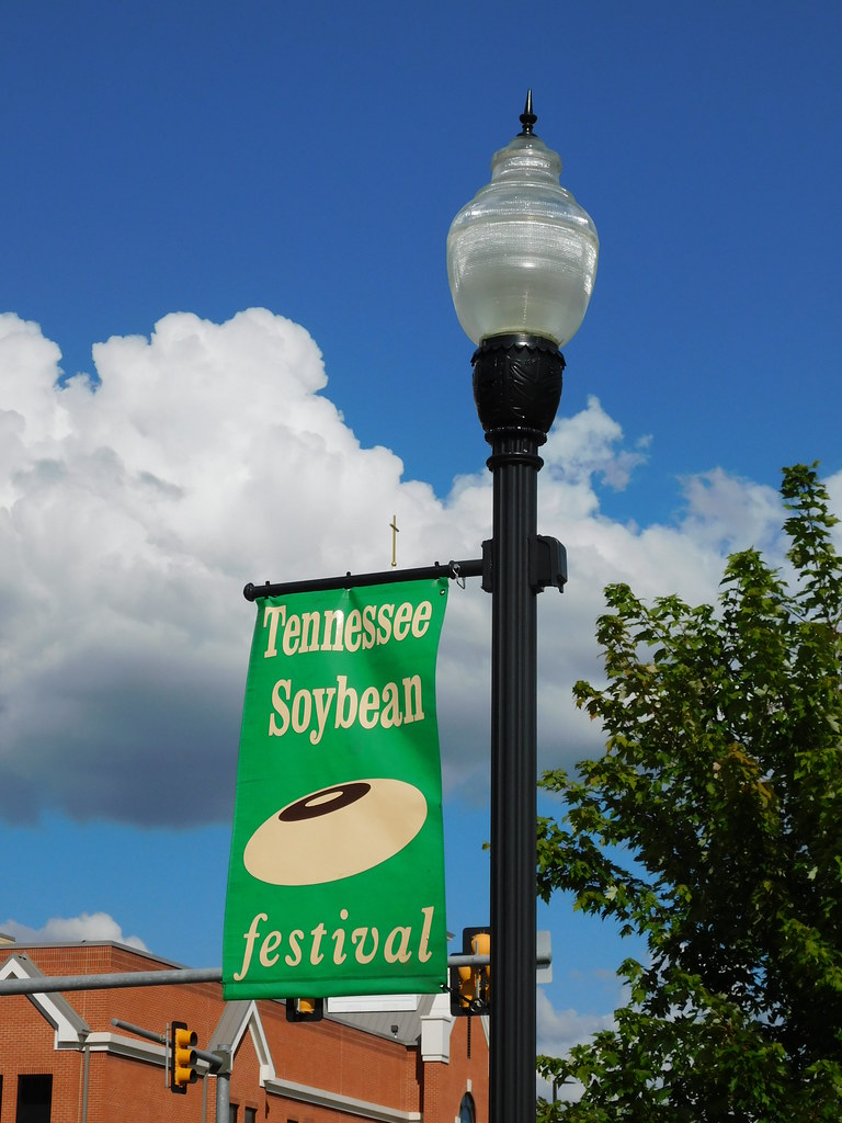 tennessee soybean festival 2023 Tennessee Soybean Festival Banner Martin, Tennessee Jimmy Emerson
