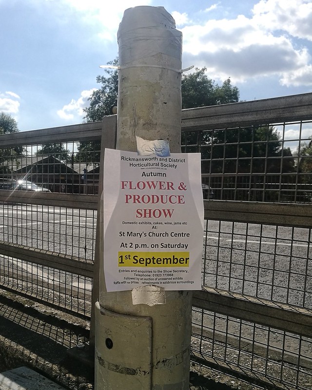 Rickmansworth and District Horticultural Society Autumn Flower