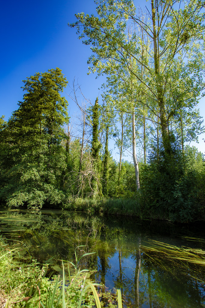 La Dive à SaintChartres Jolie rivière bien calme qui trav… Flickr