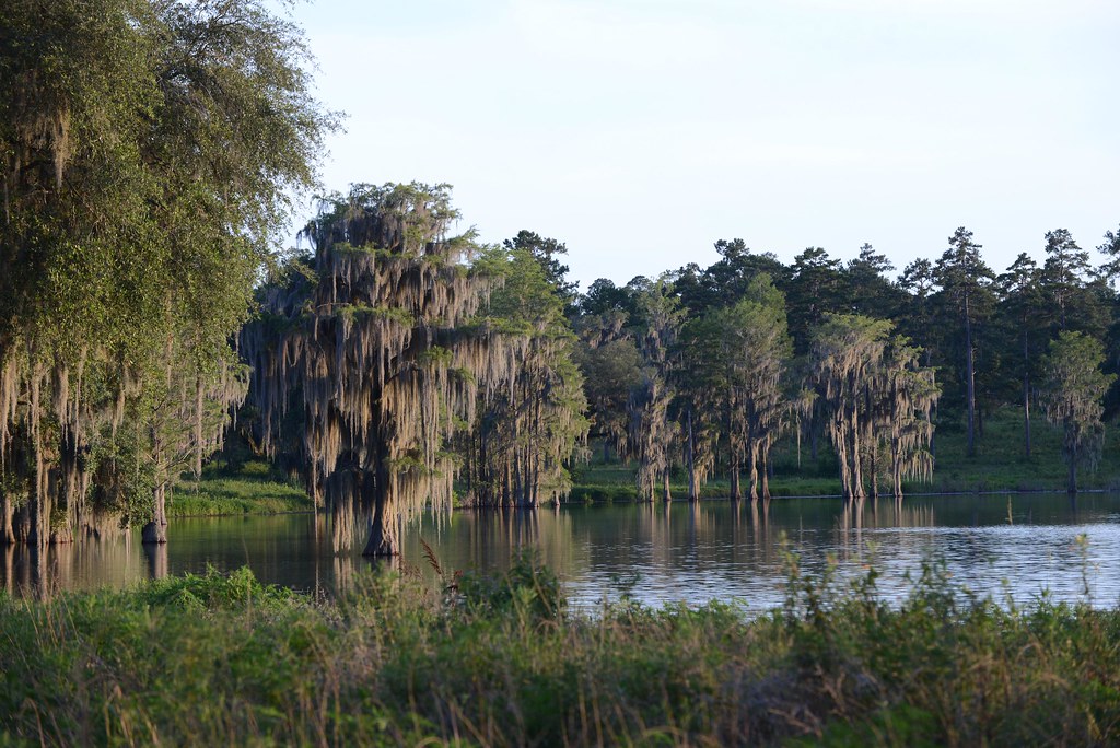 Pinckney Hill Plantation, Jefferson County 80 photo by Tim… Flickr
