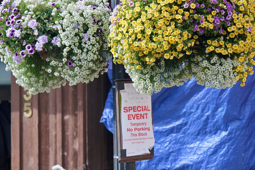 Telluride flowers Michael Bialas Flickr