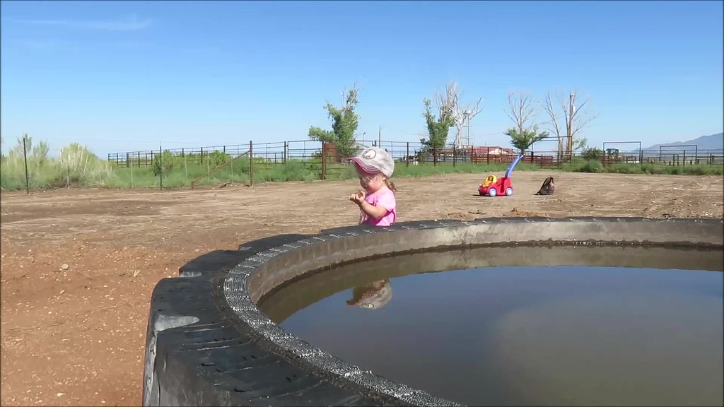 Brielle at new Creasey Water lot drinker 82018 Tina A Thompson Flickr