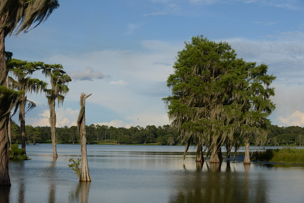 Pinckney Hill Plantation, Jefferson County 37 photo by Tim… Flickr