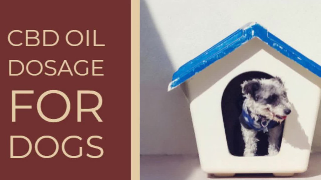 GIVE CBD OIL TO YOUR DOGS AND THE RIGHT DOSAGE mycbdforsal… Flickr