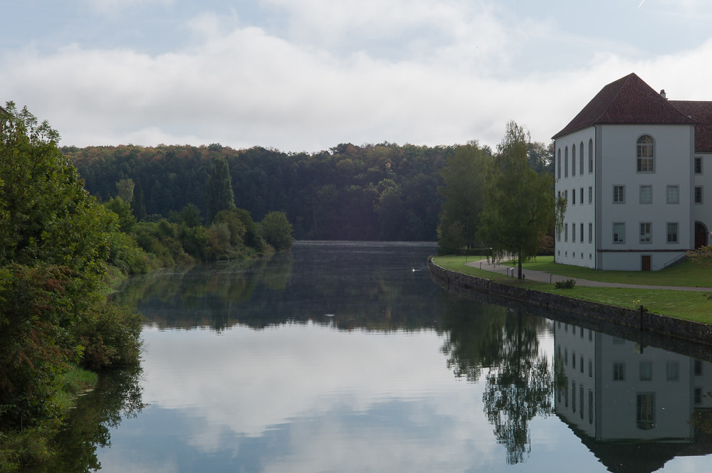 Herbst auf der Musikinsel Rheinau siehe auch dianamicelli.… Flickr