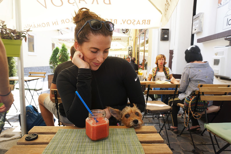 Are dogs allowed in restaurants in Europe? Gigi Griffis Official