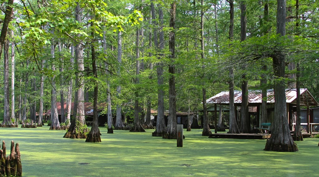 Grassy Lake Grassy Lake Hempstead County, AR Charles Lyon Flickr