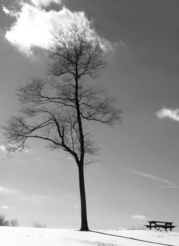 Stone Cold Picnic Table No ants today. john Flickr