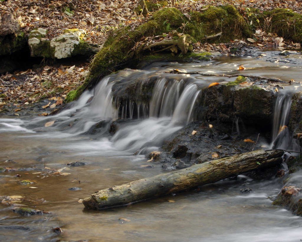 Shoals Creek Preserve A stream running through the Shoals … Flickr