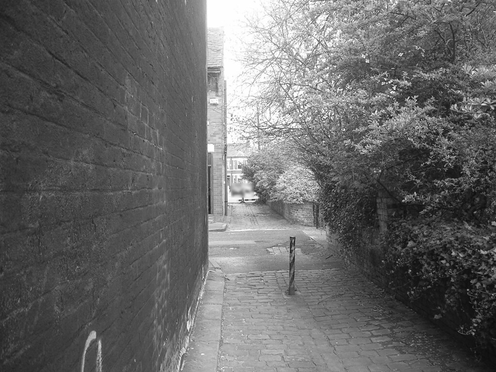 Rusholme back alley way, sometime in the 1960s As from the… Flickr