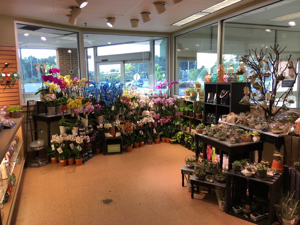 Concord Heights Shaw'sOsco Floral Department Austin Dodge Flickr