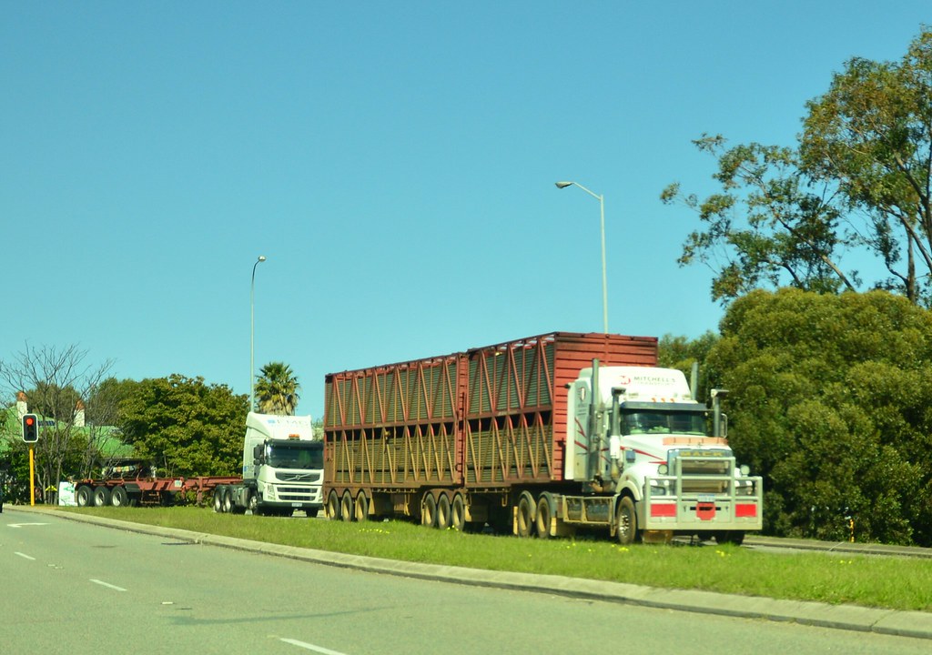 Mictchells Livestock Transport Mack Superliner Stirling Hi… Flickr