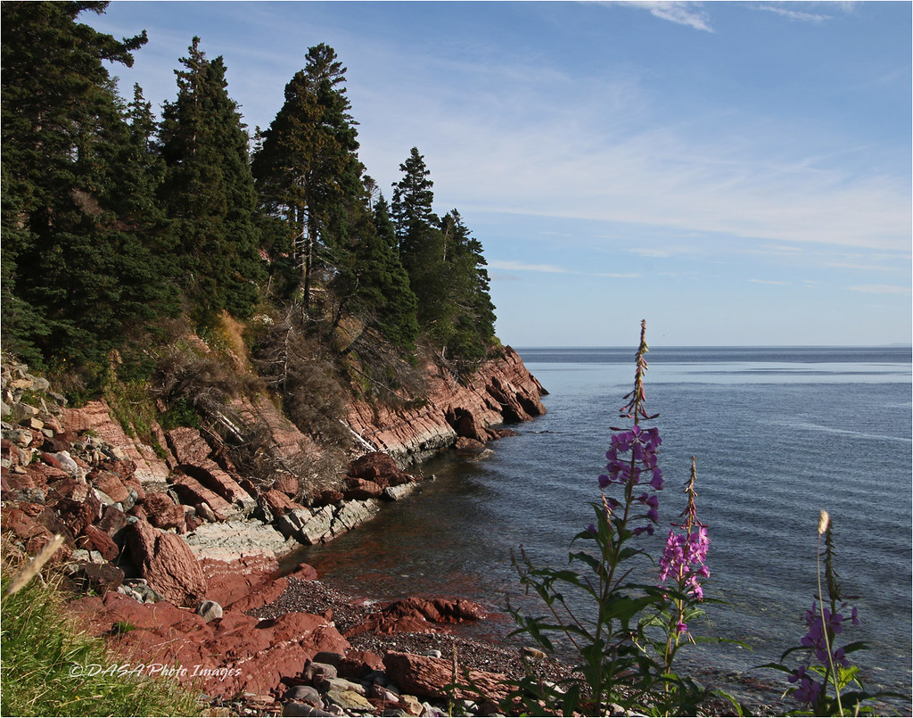 Long Cove 7508 Long Cove, Newfoundland S & D Alexander Flickr