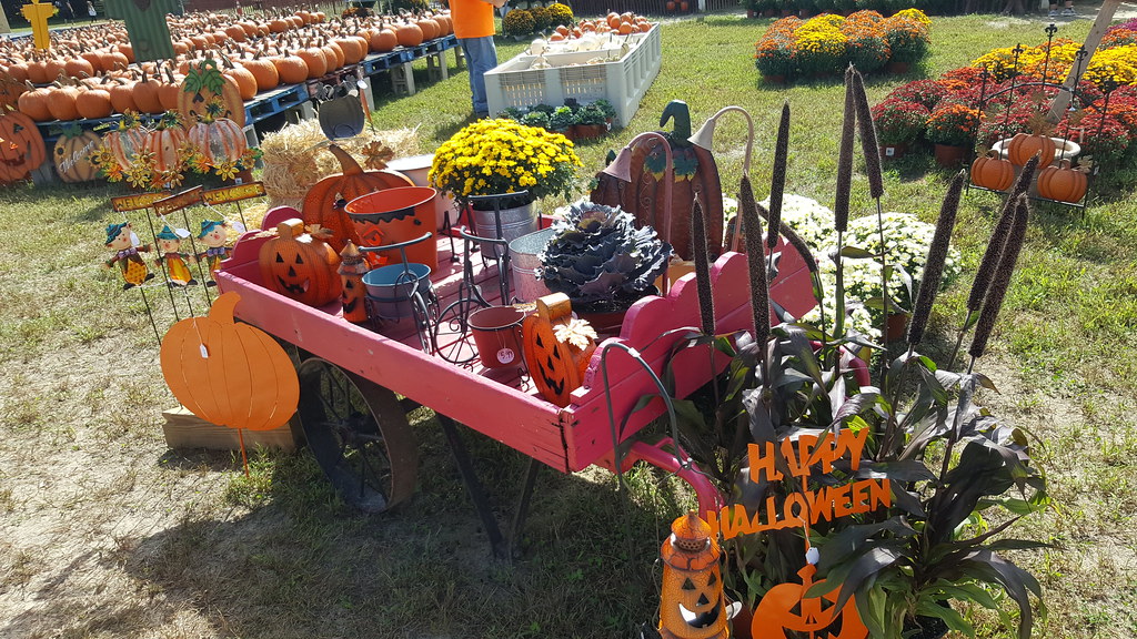 20180915 Duffield's Farm Autumn decor for sale Flickr