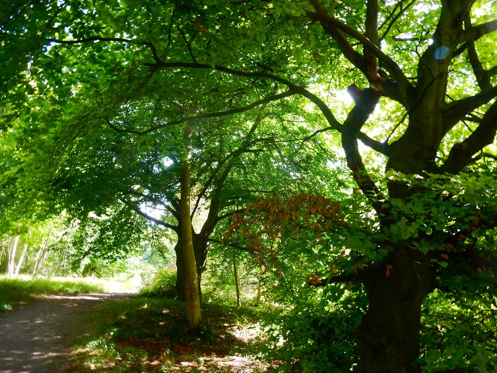 Photos Princes Risborough to Wendover Walk SWC