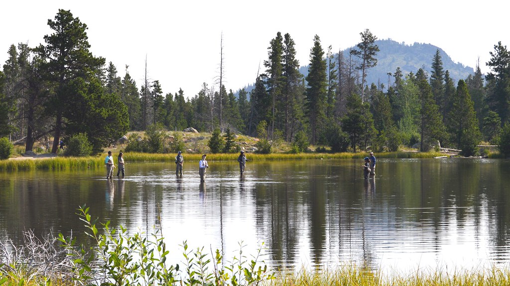 Fly Fishing on Sprague Lake Rocky Mountain National Park, … Flickr