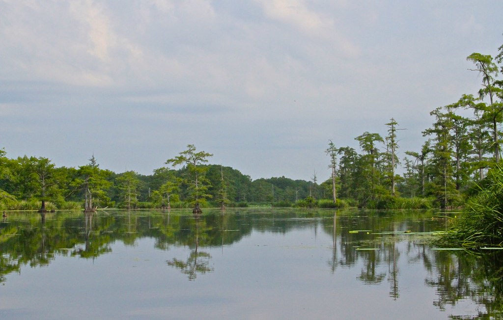 Grassy Lake Grassy Lake Hempstead County, AR Charles Lyon Flickr