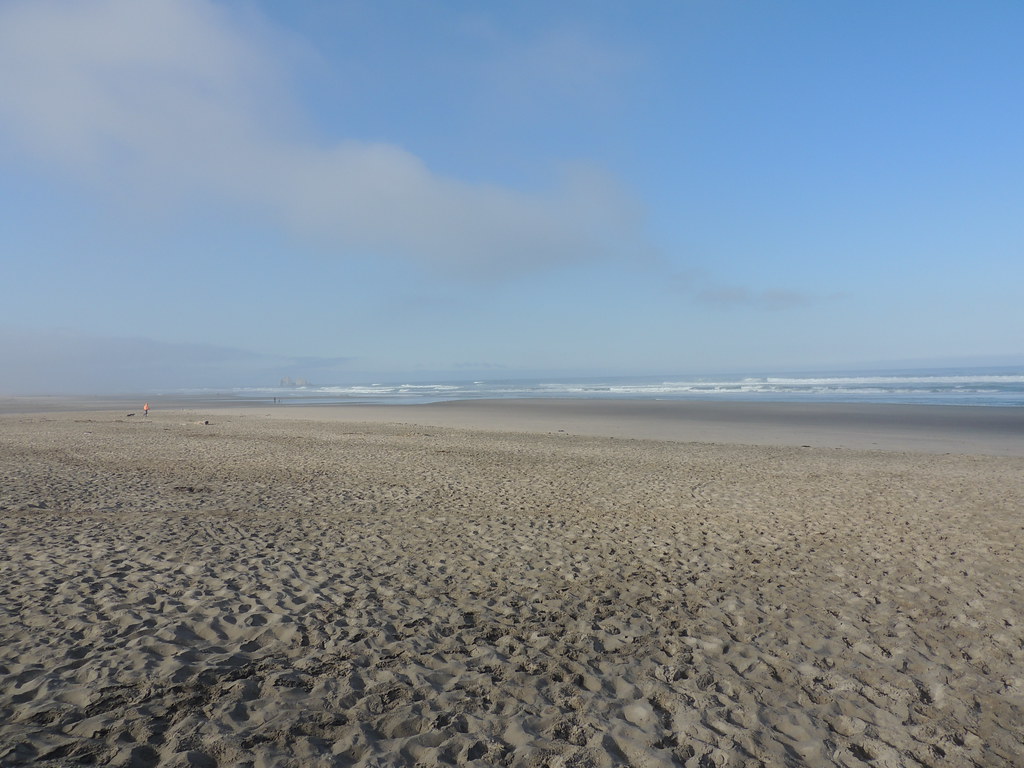 Rockaway Beach A few people taking their dogs for a walk, … Flickr