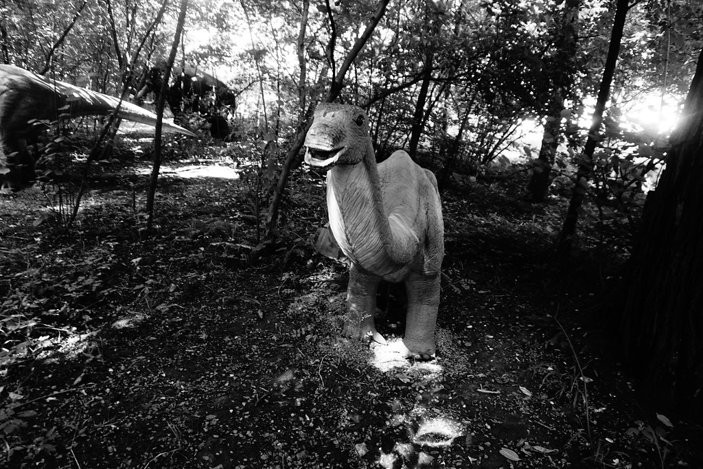 Young Apatosaurus, Dinosaur Land Young Apatosaurus, Dinosa… Flickr