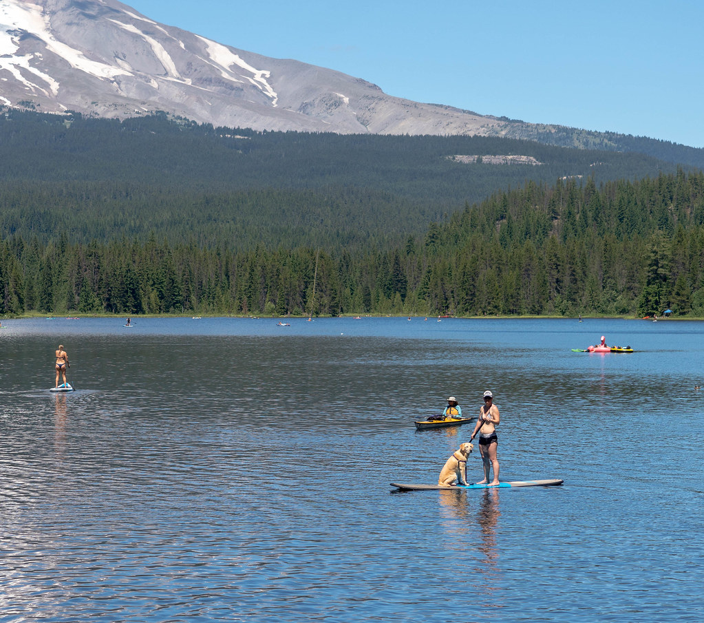 Walking the dog, Portland style On Trlilium Lake, Oregon Flickr