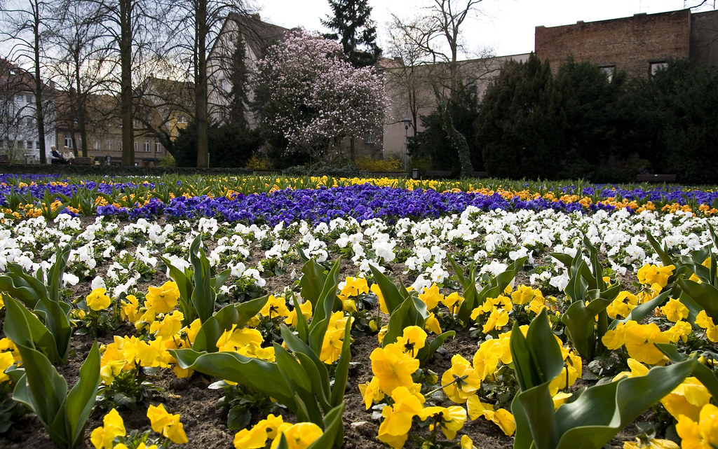 Blumenfeld Fürth, Stadtpark Crosa Flickr