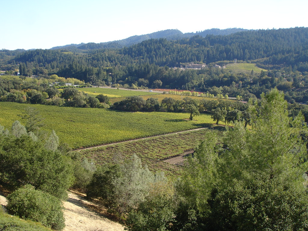 DSC02704, Sterling Vineyards, Calistoga, Napa Valley, Cali… Flickr