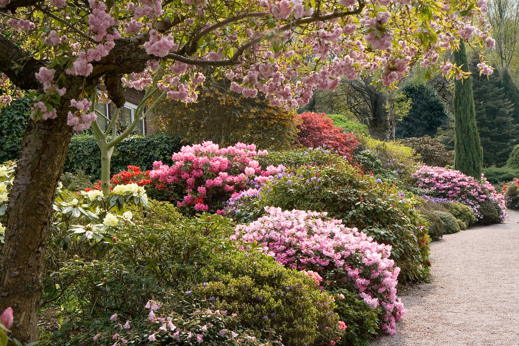 Lea Gardens Derbyshire England Lea Gardens Derbyshire Engl… Flickr