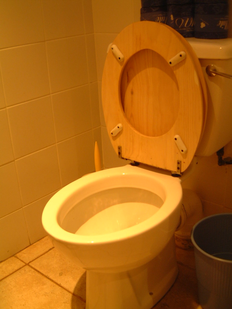 South African toilet To be honest, I didn't expect this cl… Flickr