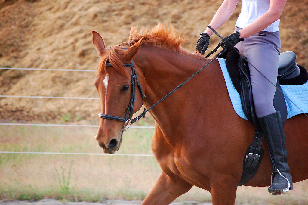Frannie passing Mt Poop Jon Pece Flickr