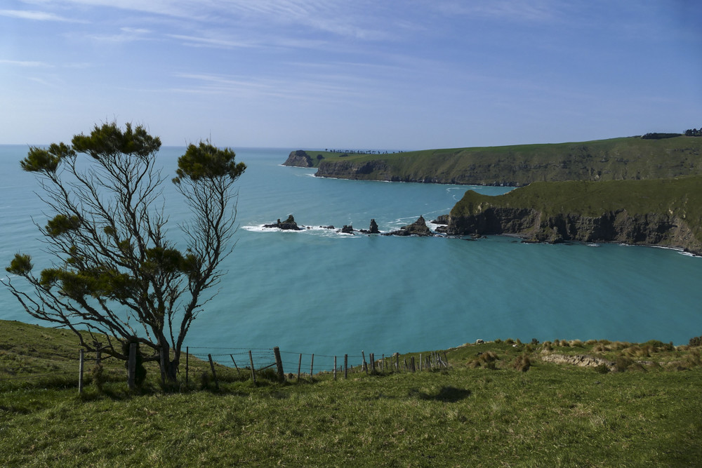20180916P1160171 Decanter Bay, NZ Carolyn Collins Flickr
