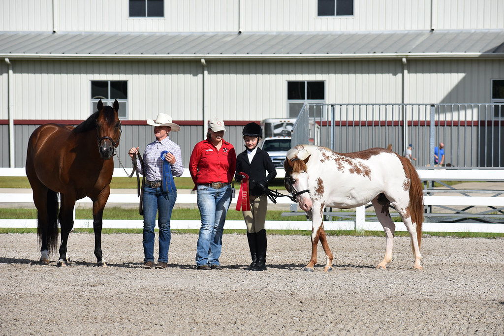 ALLBreedHorseShow39 The Jacksonville Equestrian Center ca… Flickr