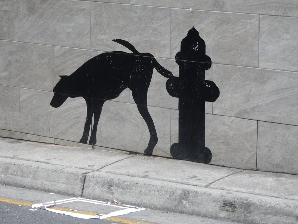 Dog Peeing on Fire Hydrant Michael Coghlan Flickr