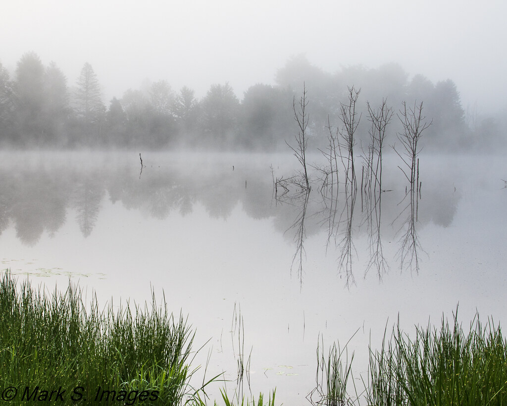 Leaser in Fog7 Leaser Lake, Lehigh County, PA Mark Stelmack Flickr