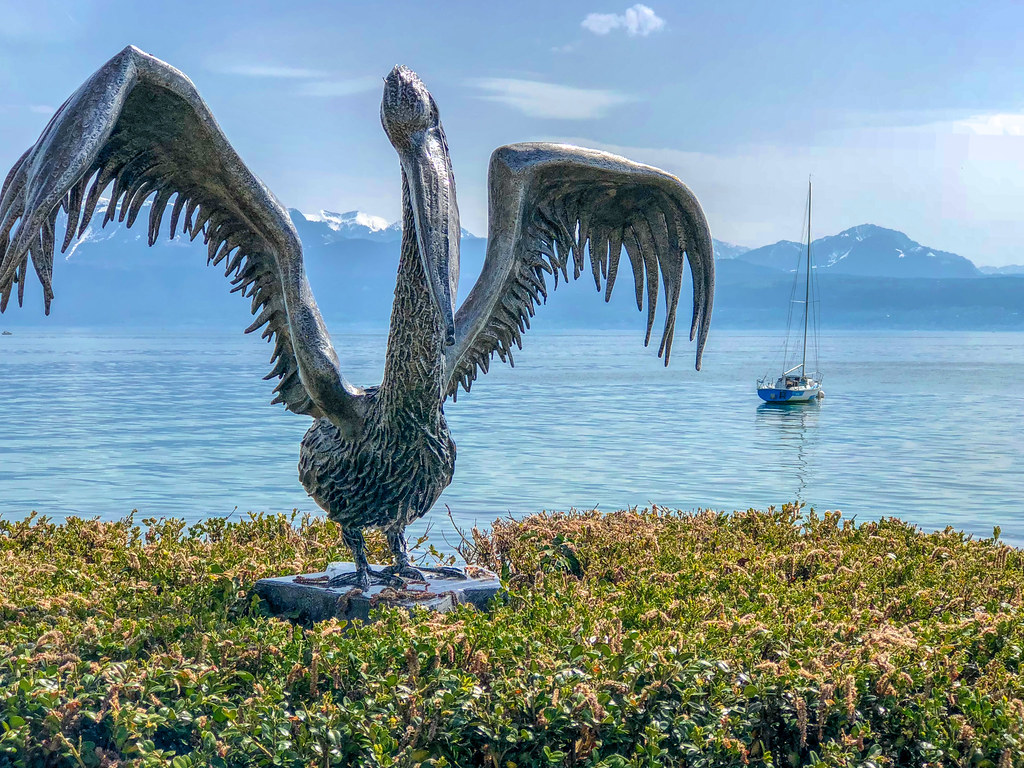 Pelican Sculpture Pelican sculpture in the Parc du Pélican… Werner