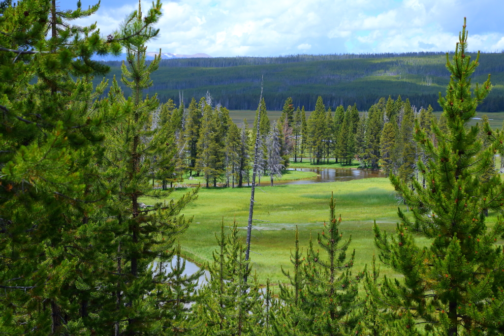 IMG_8915 Gibbon Meadows, Yellowstone National Park Flickr