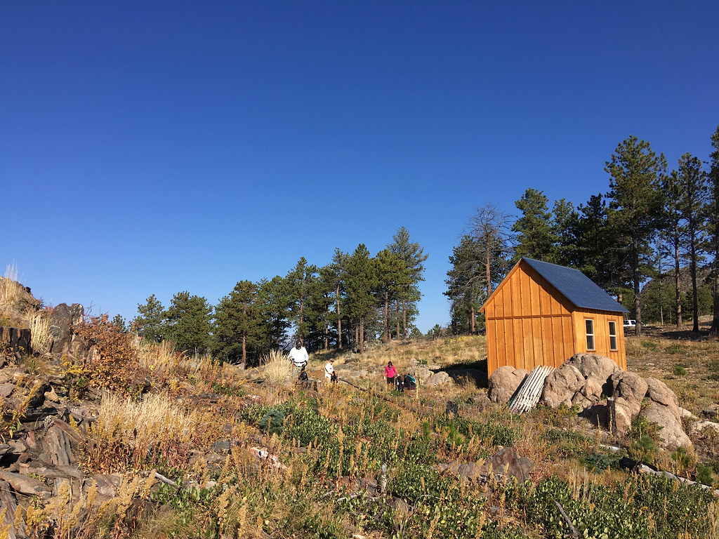 Borden Memorial Forest Workday Volunteers traveled to Bord… Flickr