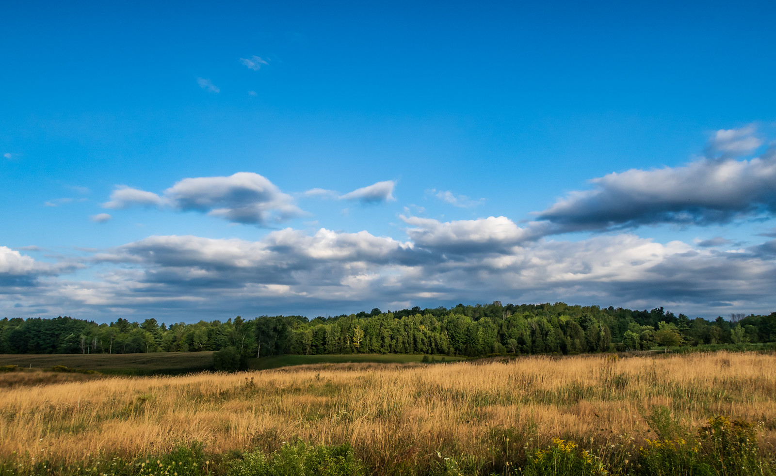 20180901 Highgate Center Gravel/Road Ride Flickr