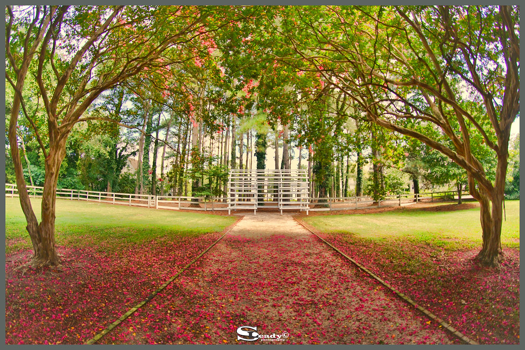 DSC00570 Kerr Garden Stephen Leady Flickr