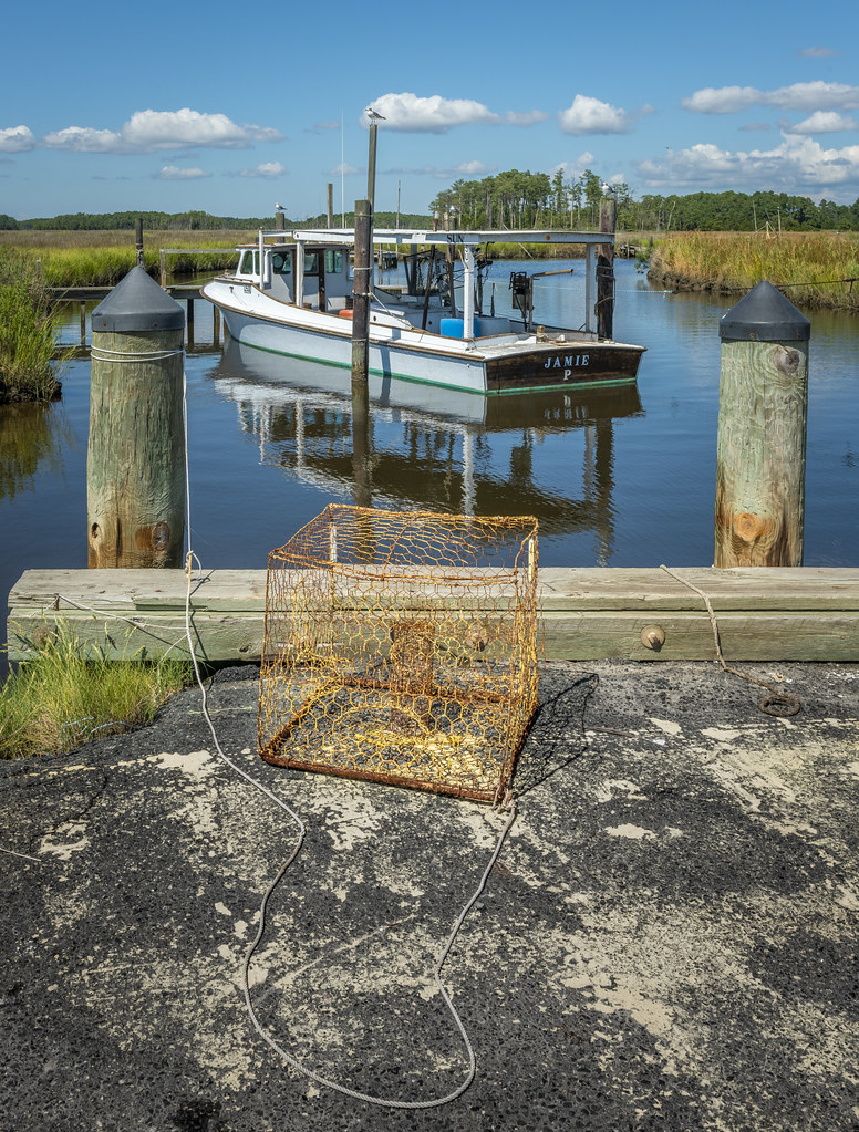 2018 Sep Hooper Island 18 Stan Zimmerman Flickr