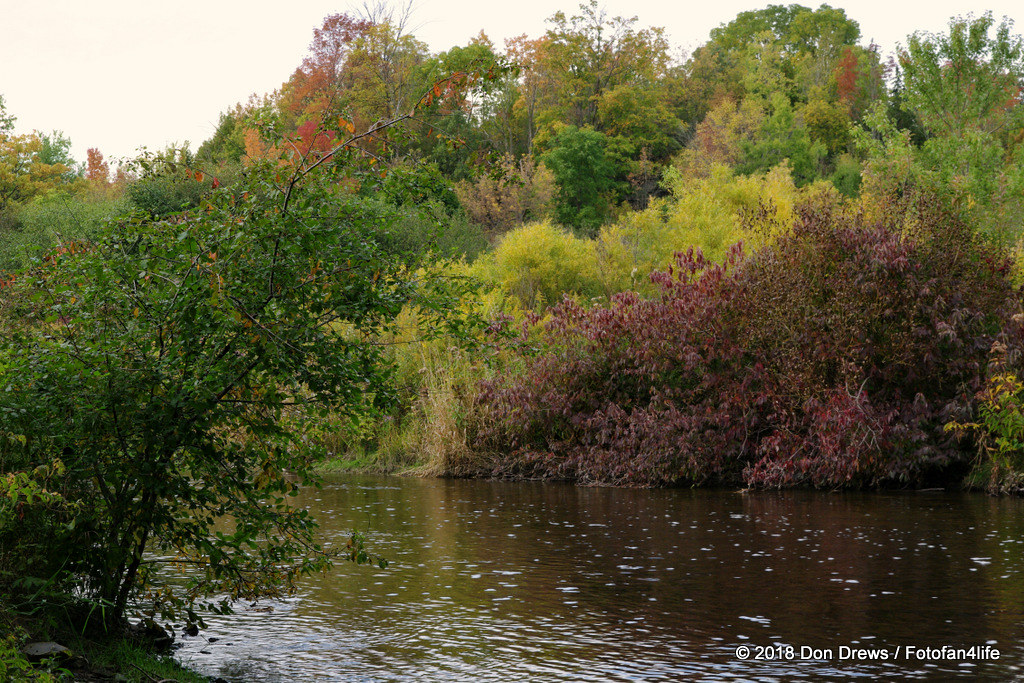 Eramosa River Autumn DF140905DD_0205 Don Drews Flickr