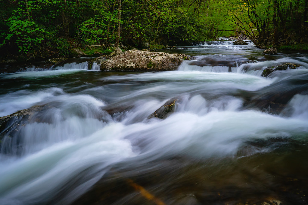 High Times At Tremont The water levels in the Smokies this… Flickr