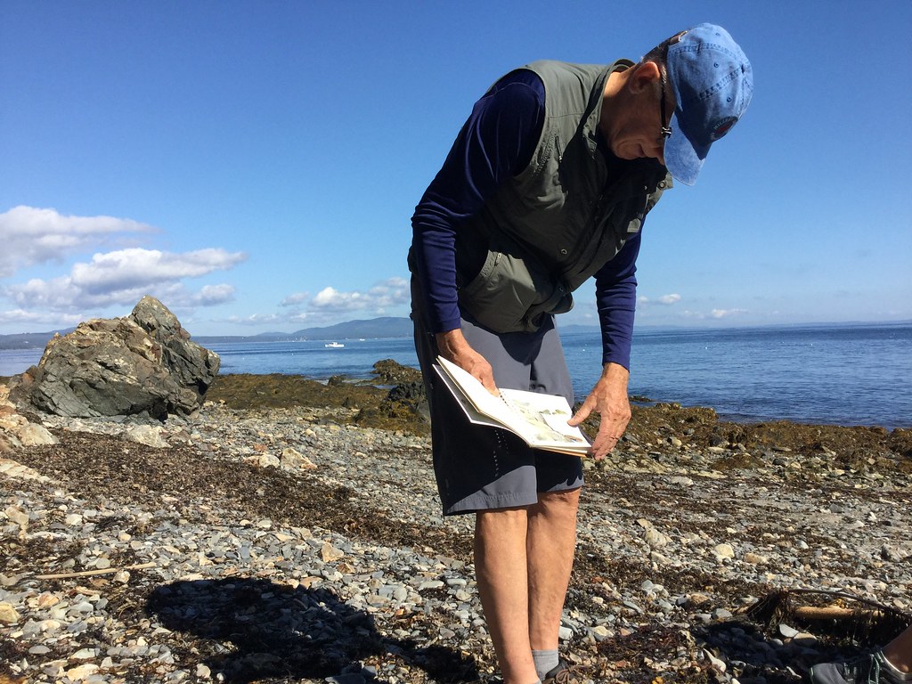 David dewey, maine, watercolor David dewey, work… Flickr